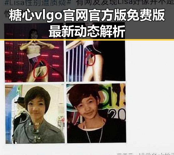 糖心vlgo官网官方版免费版最新动态解析