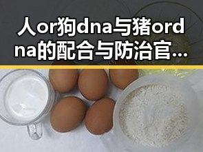 人or狗dna与猪ordna的配合与防治官方版：全面解析最新研究与应用