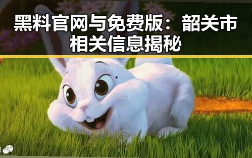 黑料 官网与免费版：韶关市相关信息揭秘
