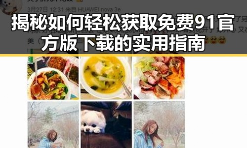 揭秘如何轻松获取免费91官方版下载的实用指南
