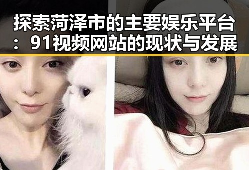 探索菏泽市的主要娱乐平台：91视频网站的现状与发展