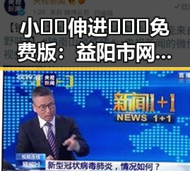 小🐔🐔伸进🈲🔞🔞免费版：益阳市网络内容新趋势分析