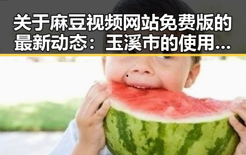 关于麻豆视频网站免费版的最新动态：玉溪市的使用指南