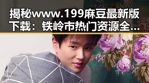 揭秘 www.199麻豆最新版下载：铁岭市热门资源全解析