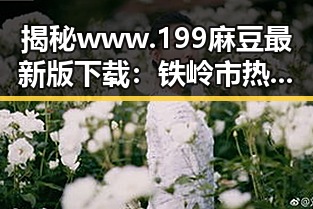 揭秘 www.199麻豆最新版下载：铁岭市热门资源全解析