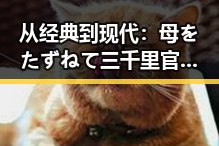 从经典到现代：母をたずねて三千里官方版的文化传承与创新