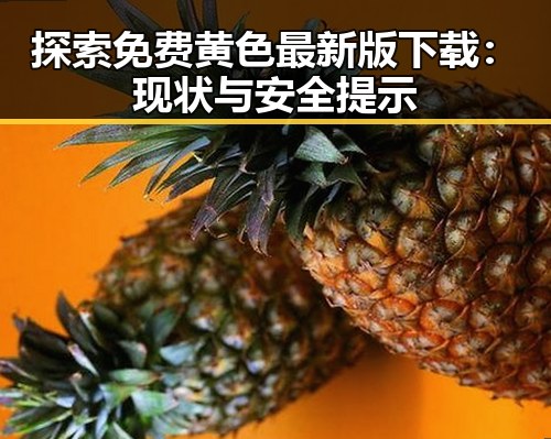 探索免费黄色最新版下载：现状与安全提示