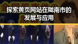 探索黄页网站在陇南市的发展与应用