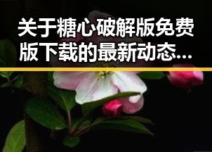 关于糖心破解版免费版下载的最新动态与实用指南