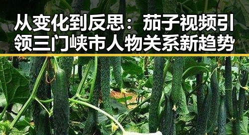 从变化到反思：茄子视频引领三门峡市人物关系新趋势