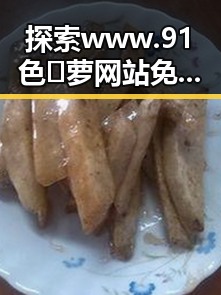 探索www.91色😍萝网站免费官方版的魅力与背后故事
