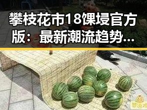 攀枝花市18馃埐官方版：最新潮流趋势全解析