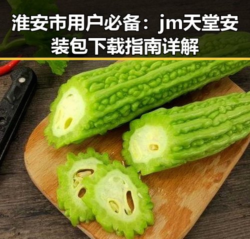 淮安市用户必备：jm天堂安装包下载指南详解