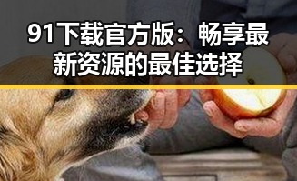 91下载官方版：畅享最新资源的最佳选择