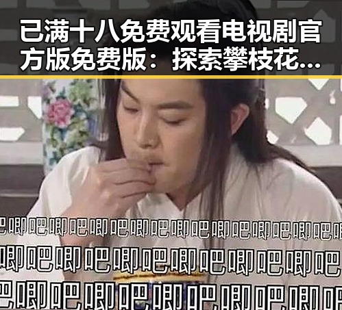 已满十八免费观看电视剧官方版免费版：探索攀枝花市最新影视资源