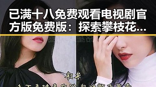 已满十八免费观看电视剧官方版免费版：探索攀枝花市最新影视资源