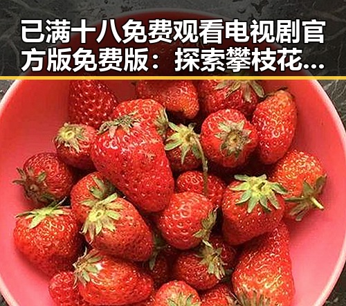 已满十八免费观看电视剧官方版免费版：探索攀枝花市最新影视资源
