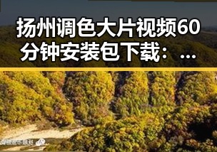 扬州调色大片视频60分钟安装包下载：快速掌握影视调色技巧