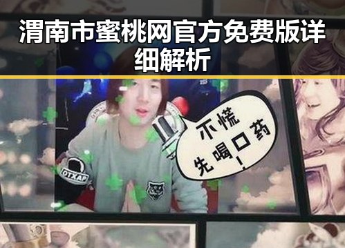 渭南市蜜桃网官方免费版详细解析
