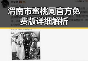 渭南市蜜桃网官方免费版详细解析