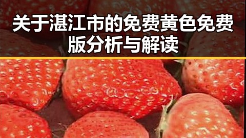 关于湛江市的免费黄色免费版分析与解读