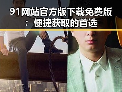 91网站官方版下载免费版：便捷获取的首选