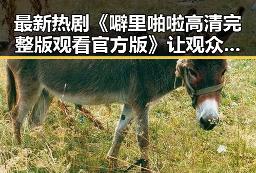 最新热剧《噼里啪啦高清完整版观看官方版》让观众纷纷点赞