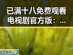 已满十八免费观看电视剧官方版：了解最新剧集资源的官方途径