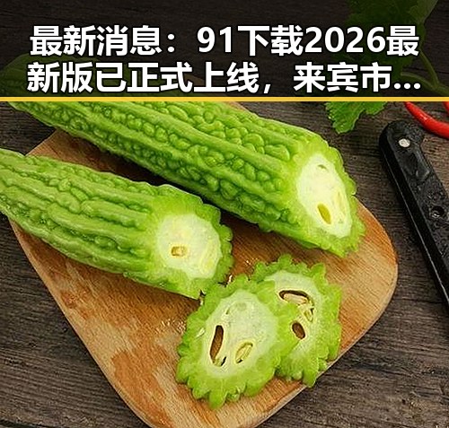 最新消息：91下载2026最新版已正式上线，来宾市用户纷纷体验