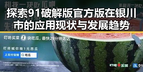 探索91破解版官方版在银川市的应用现状与发展趋势
