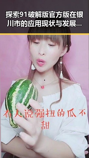 探索91破解版官方版在银川市的应用现状与发展趋势