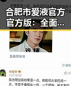 合肥市爱液官方官方版：全面解析与最新动态