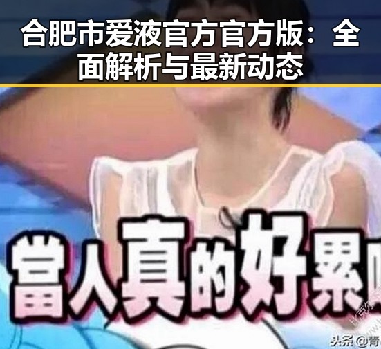 合肥市爱液官方官方版：全面解析与最新动态
