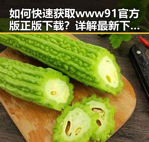 如何快速获取www91官方版正版下载?详解最新下载指南