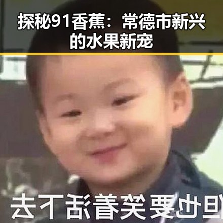 探秘91香蕉:常德市新兴的水果新宠