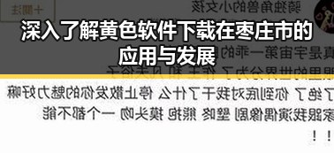 深入了解黄色软件下载在枣庄市的应用与发展