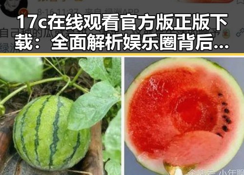 17c在线观看官方版正版下载:全面解析娱乐圈背后的文化现象