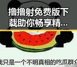 撸撸射免费版下载助你畅享精彩内容