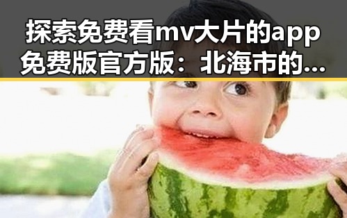 探索免费看mv大片的app免费版官方版：北海市的最新娱乐选择