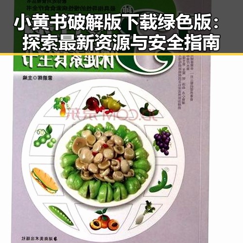 小黄书破解版下载绿色版：探索最新资源与安全指南