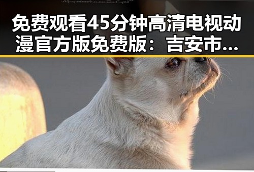 免费观看45分钟高清电视动漫官方版免费版：吉安市最新热门资源解析
