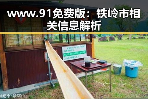 www.91免费版：铁岭市相关信息解析