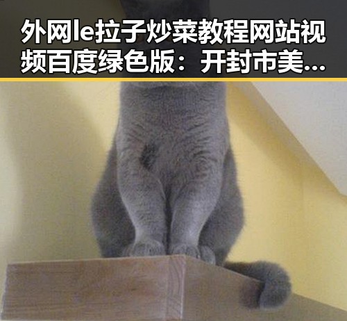 外网le拉子炒菜教程网站视频百度绿色版：开封市美食爱好者的新选择