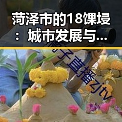 菏泽市的18馃埐：城市发展与文化新风尚