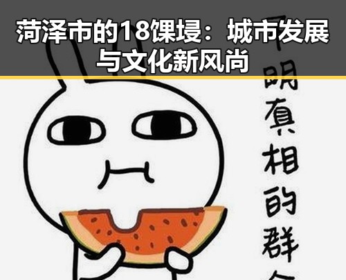 菏泽市的18馃埐：城市发展与文化新风尚