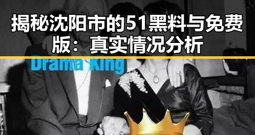 揭秘沈阳市的51黑料与免费版：真实情况分析