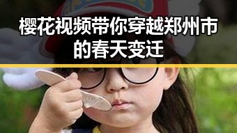 樱花视频带你穿越郑州市的春天变迁