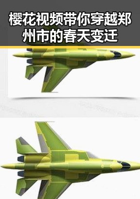 樱花视频带你穿越郑州市的春天变迁
