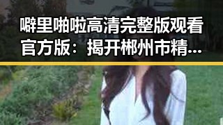 噼里啪啦高清完整版观看官方版：揭开郴州市精彩故事的秘密