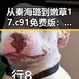 从秦海璐到嫩草17.c 91免费版：娱乐圈的变化与新潮流